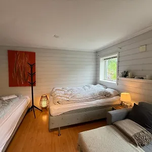 https://koselig-kjeller-leilighet.hotelsinbergen.net